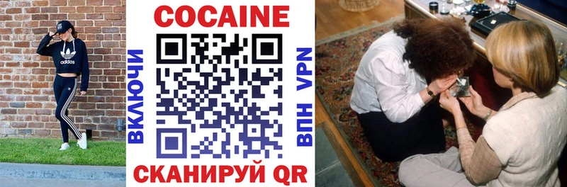 Купить закладки  Дигора  COCAIN Fish Scale 