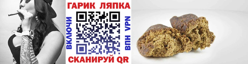 Купить  Дигора  ГАШ Изолятор 