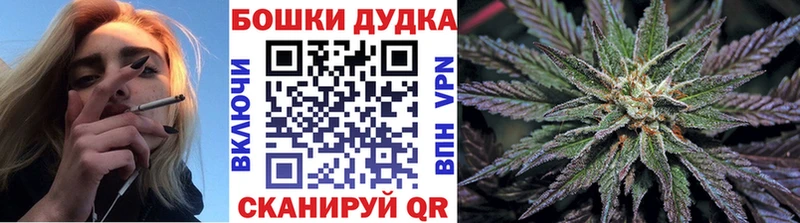 Купить закладки  Дигора  Каннабис Ganja 